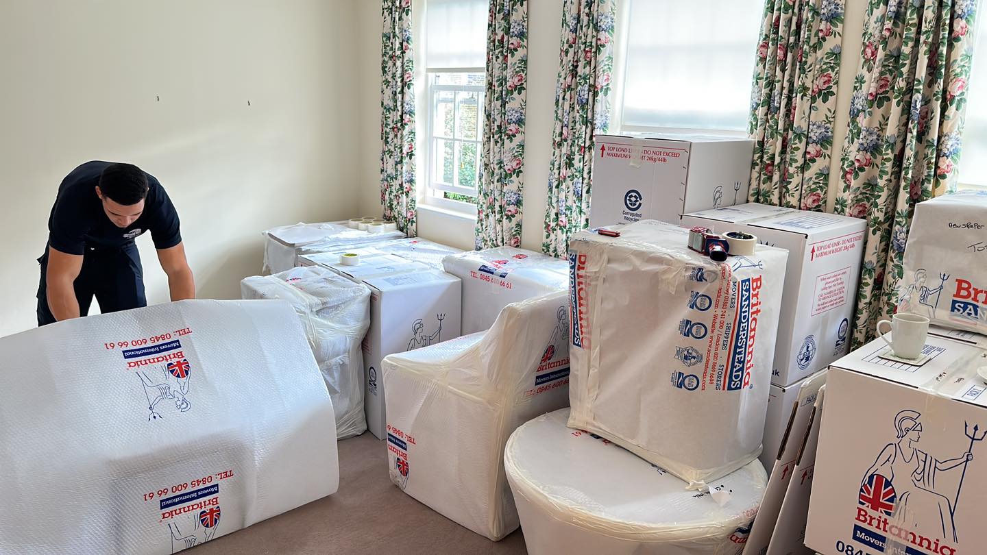 321348019 3306168386312303 8545751168548022267 n