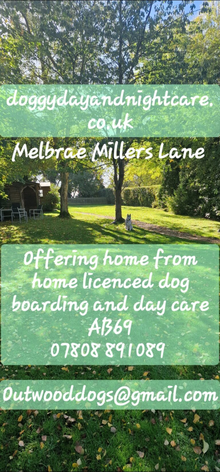 Screenshot 20240305 145403 Gallery 768x1647